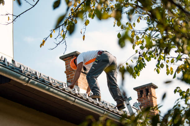 Best Roof Gutter Cleaning  in Nevada, IA