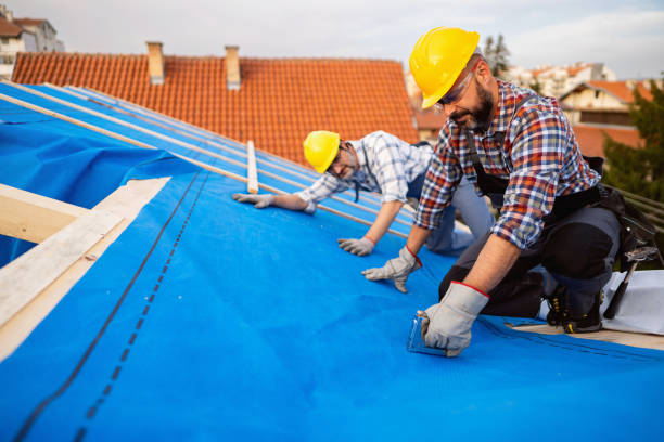 Quick and Trustworthy Emergency Roof Repair Services in Nevada, IA