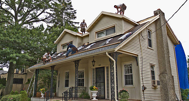 Best Roof Repair Services  in Nevada, IA