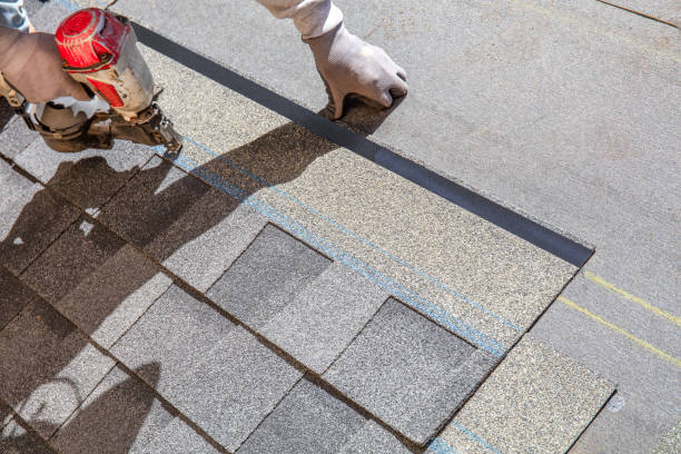 Best Roof Leak Repair  in Nevada, IA